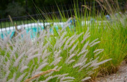 Le Manoir des Hauts de Chaunac - Foto 63