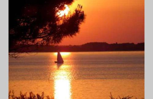 Ty Gwenn, dans un parc boisé, la plage à vos pieds - Foto 27