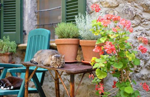 Workation Castle - Foto 37