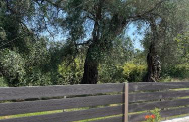 Villa Boltado - Foto 24