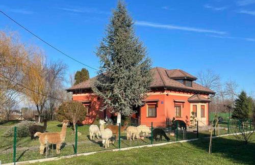 Family friendly house with a parking space Andrijasevci, Slavonija - 24939 - Foto 1