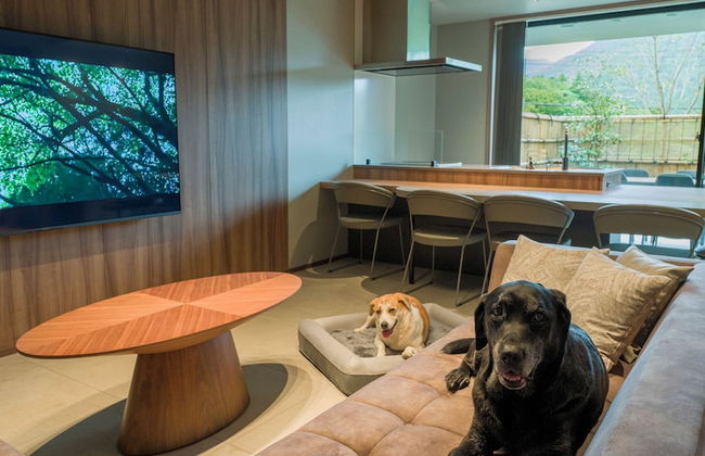 Rakuten STAY TERRACE Hakone Kowakudani - Foto 71