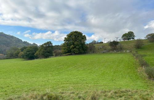 Tower Farm Holidays - Photo 31