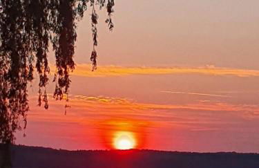 Seeblick Warin - Foto 32