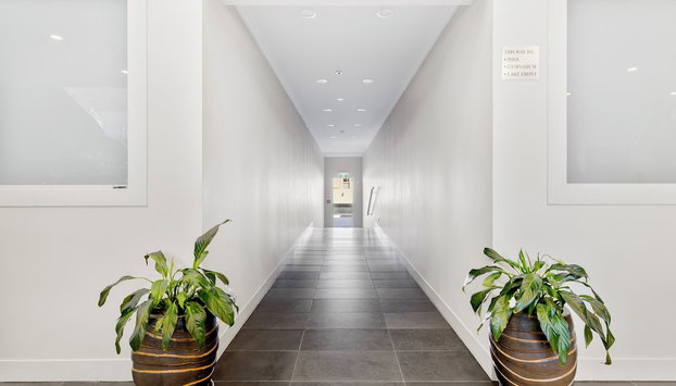 Sacred Waters - Foto 5, Recepción