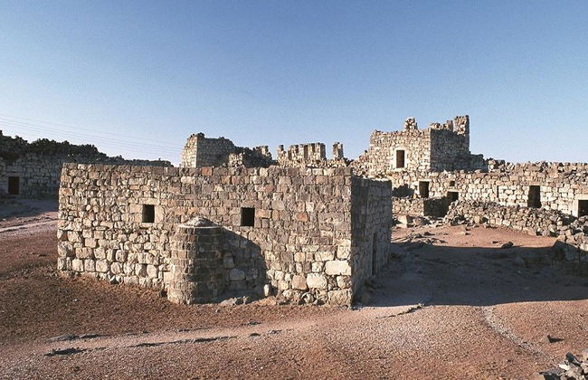 Escursione di mezza giornata ai Castelli del Deserto - Foto 3
