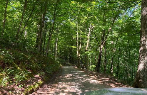 Blue Hole at Pigeon Mtn Wildlife Mgmt Area - Foto 49