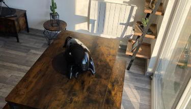 Le Rustique Vosgien - Foto 3