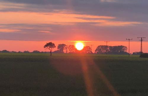 Peeneurlaub - Foto 53