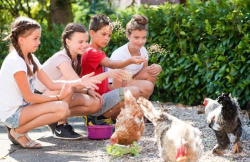 504 Stallgeflüster - Foto 23