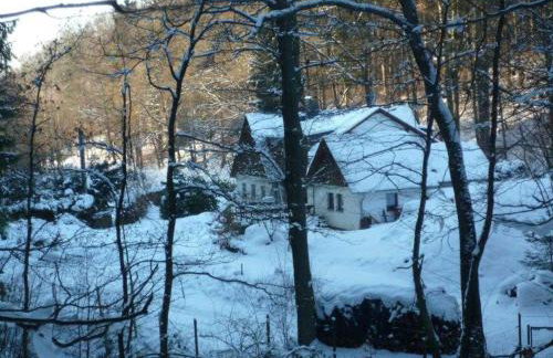 Ferienhaus Jägerhaus Oppach Alleinlage mit See - Foto 72