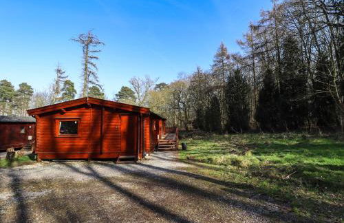 Forest Lodge Kenwick Park - Foto 31