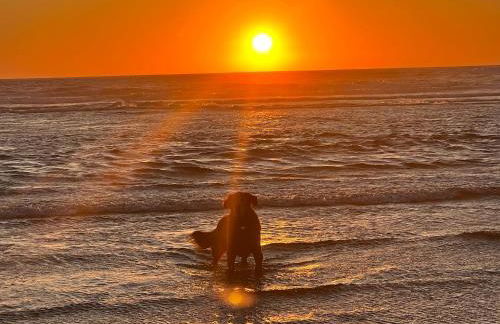 Sandpiper Shores - Foto 37