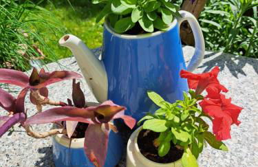 "Zur Alten Schusterei" 98597 Breitungen an der Werra - Foto 6