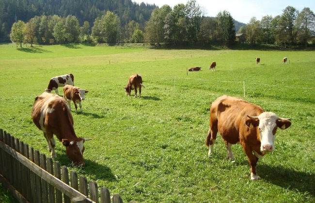 Room-holiday Home Kahr Apartment Roßbran - Photo 16