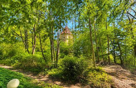 Wasserturm Putbus - Foto 8