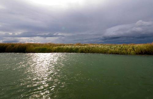 Family-Friendly Cabin Rental near Prime Fishing in Igiugig, Alaska - Foto 5