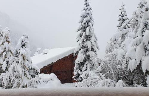 Chalet le Petit Ramoneur - Foto 15