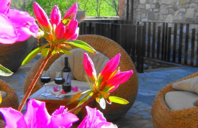 Fattoria Pianetti - Photo 23