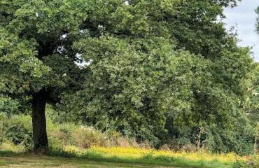 Tranquiloue - Maison de charme à la campagne - PuyduFou - Photo 33