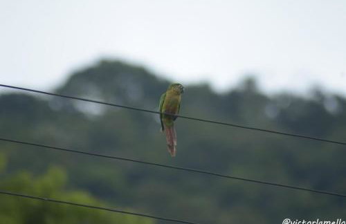 A Casinha Lumiar - Foto 46