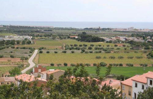 Els Cups casa rural - Foto 41