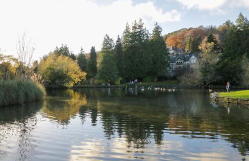 Elderflower Lodge - Foto 42