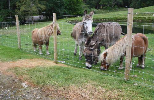 Ardgarry Farm - Photo 23