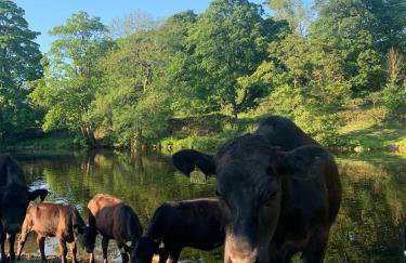 The Old Middle School Addingham - Photo 19