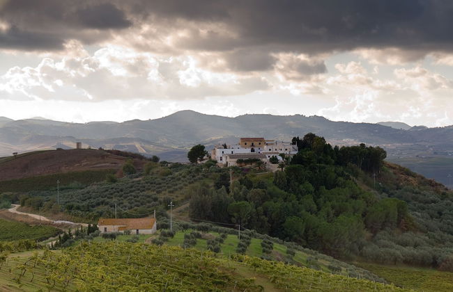 Agriturismo Sirignano Wine Resort - Photo 31