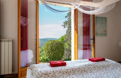 Provence villa with large pool and amazing view - Foto 24