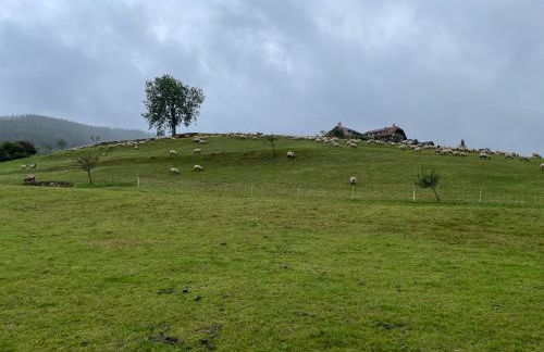 Am Baumgarten Baiersbronn - Photo 10