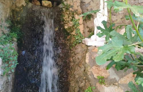 Umbria Valnerina , Il TARTUFFO, sulla via di Francesco - Photo 39