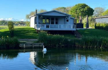 Nestledstays- Primrose - Foto 12