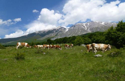 Stone House in Majella Park - Foto 18