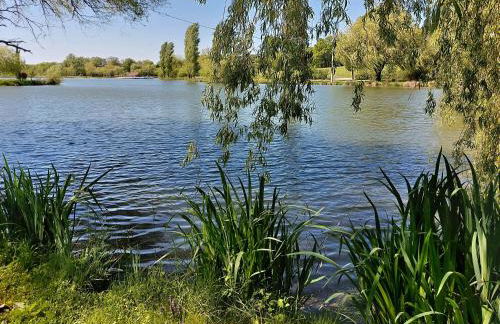 La Futaie - Photo 18