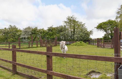 The Willows - Photo 14