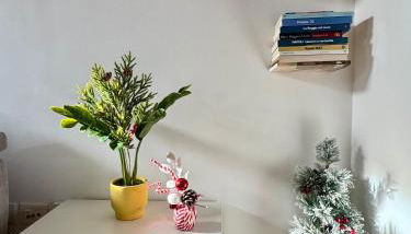 Loren House - Photo 4