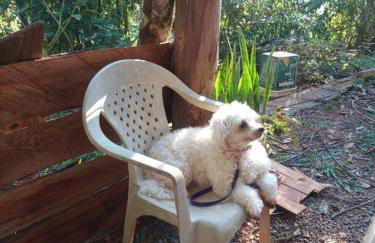 Chalé Refúgio dos Aventureiros Mata Atlântica - Foto 9