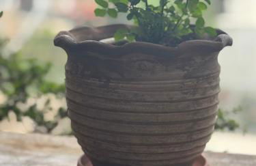 Mani Spot Nezoulas - Photo 3