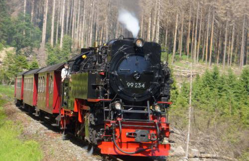 Ferienwohnung am Paradiese 74 - Foto 16