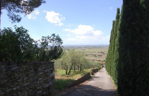 La Maestà Tuscan Sun - Foto 18