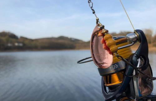 Ferienhaus am Hennesee - Foto 9