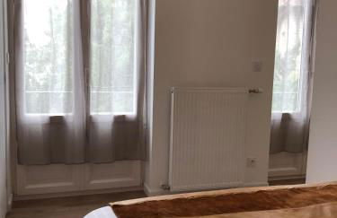 La Maison de la Douce Heure, 4 appartements climatisés avec jardin au centre ville proche des Thermes - Foto 40