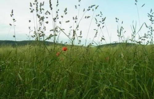 Apartment Reitz by Interhome - Foto 29