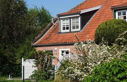 Gulfhaus Alte Meesterei - Foto 33