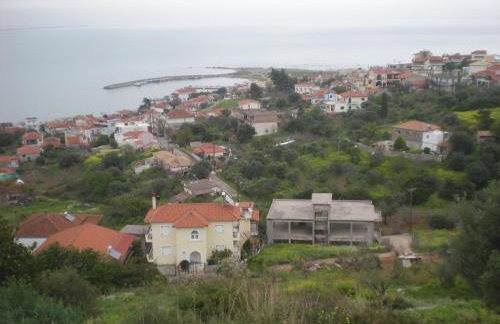 Petalidi Gedigio - Foto 2