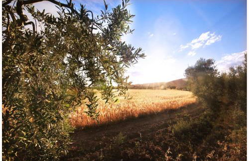 Casa Rural Els Pins - Foto 9