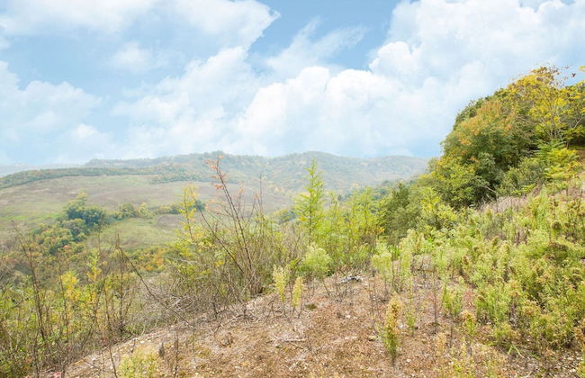 Villa in Rome With Pool & Stunning Views - Foto 39