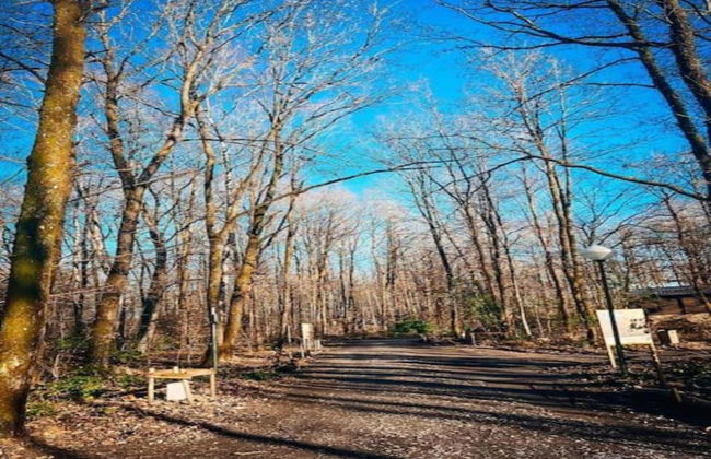 Chalet in Belgium With Stunning Views - Foto 27